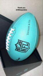 Rugby Ball 17 - Image 2