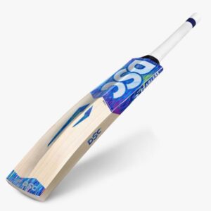 Cricket Bat 02