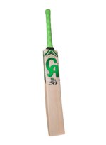 Cricket Bat 01