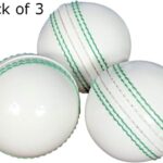 Cricket Ball 04