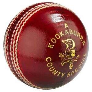 Cricket Ball 01