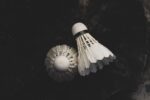 Badminton 06 - Image 2