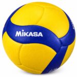 Volleyball - Image 3
